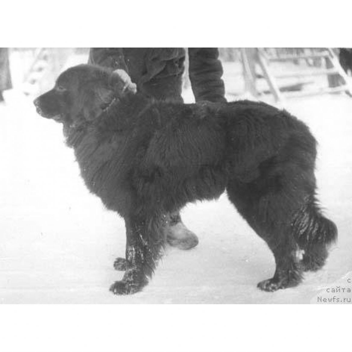 T Orbi Molliden (01-01-1987)